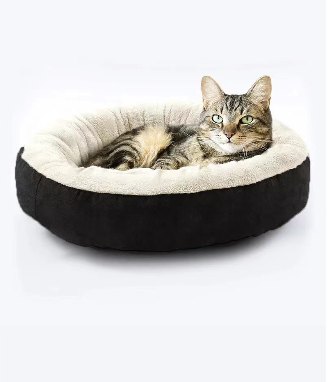 Cat and Dog Nest