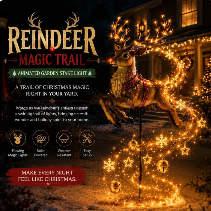 Solar Christmas Garden Light