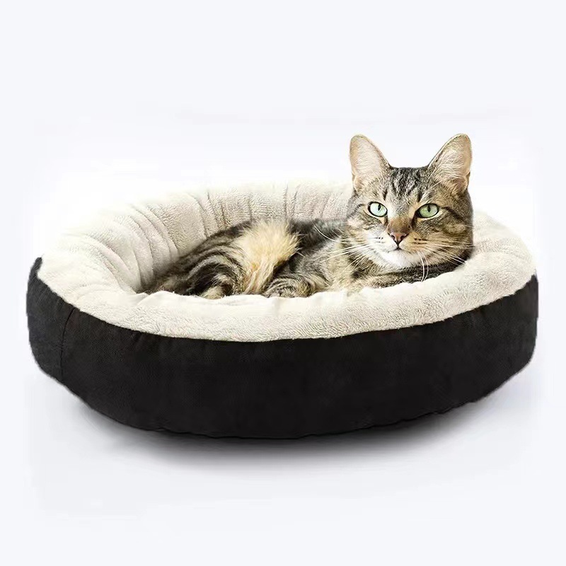 Cat and Dog Nest